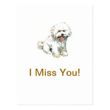 Bichon Frise Cartes Postales
