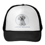 Bichon Frise Granddog Casquettes De Camionneur