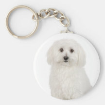 Bichon Frise Porte-clefs