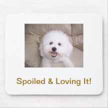 Bichon Frise Tapis De Souris