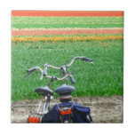 Bicyclettes de tulipes de ressort carreaux