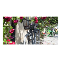 Bicyclettes et roses en Suède Photocarte
