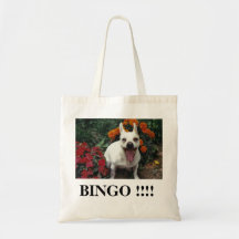BINGO-TEST ! ! ! ! SAC