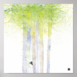 BIRCHTREES AFFICHES