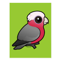 Birdorable Galah Cartes Postales
