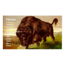 Bison américain modèle de carte de visite