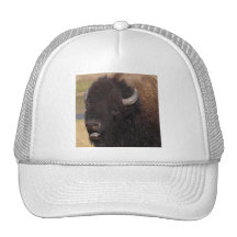 bison casquettes
