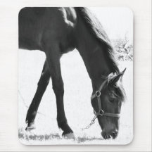 Black horse tapis de souris