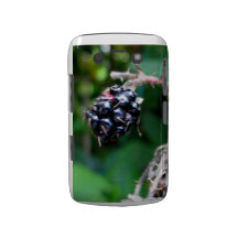 Blackberry voor Blackberry Blackberry Bold Covers