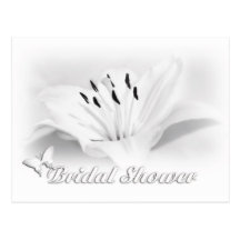 Blanc - carte postale nuptiale de douche