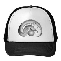 Blanc de dragon de perle casquette de camionneur