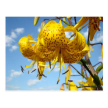 Blauw van de Bloemen van de Lelie van de Tijger va Wens Kaarten