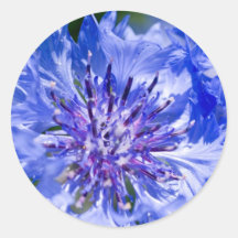 Blauwe Korenbloem Stickers