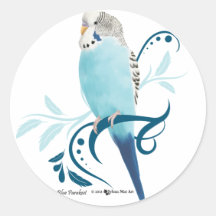 Blauwe Parkiet Sticker