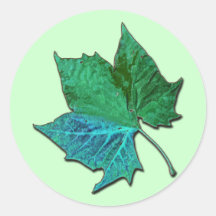 Blauwe Sycomoor Ronde Stickers