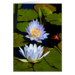 Blauwe Waterlelies Wenskaarten