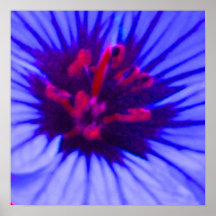 Bleu au néon posters