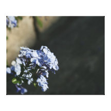 Bleu contre le mur impression sur toile
