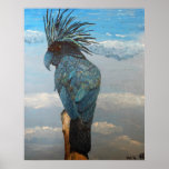 Bleu de minuit affiches