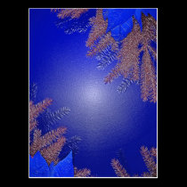 Bleu de poinsettia de Noël cartes postales
