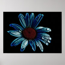 Bloem met water posters