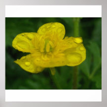 Bloem Print