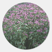 Bloem Ronde Stickers