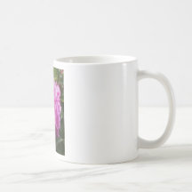 Bloem van de Mok van de koffie de Mooie Roze