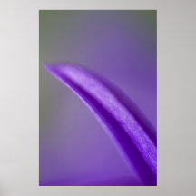Bloemblaadje Posters