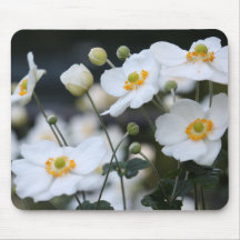 Bloemen, Behoudend Water, Central Park Muismat