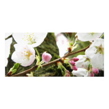 Bloemen Dames Reclamekaart Sjabloon