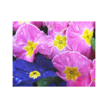 Bloemen en Regen Stretched Canvas Afdrukken