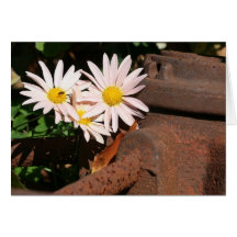 Bloemen en roest kaart
