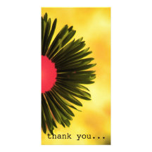 bloemen fotokaarten