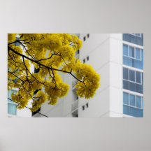 Bloemen in het Concrete Oerwoud Poster