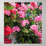 bloemen poster