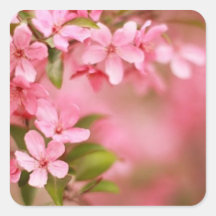 Bloemen Sticker
