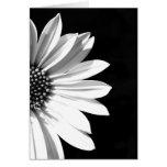bloemen wenskaarten
