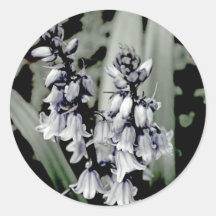 Bluebelldark Adhésifs