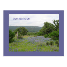 Bluebonnets in Texas Wens Kaarten