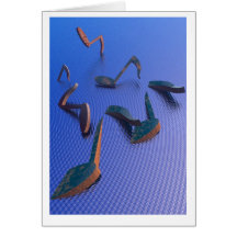 BlueNotes Carte