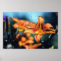 Blumen im Regen Plakatdruck