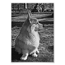 Bob01BW.png Photographe