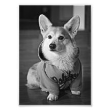 Bob04BW.png Tirage Photo