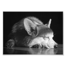 Bob08BW.png Photos Sur Toile