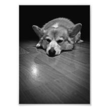 Bob10BW.png Photographie