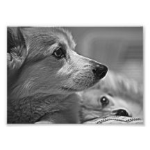 BobLola03BW.png Foto Print