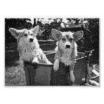 BobLola04BW.png Photos
