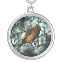 Boheemse Waxwing #01 Sieraden