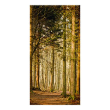 Bois de Dunotar Modèle Pour Photocarte